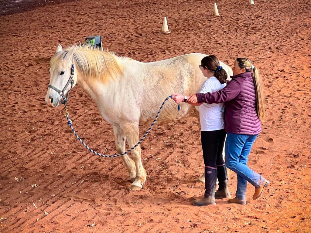 A horse, student, and instructor
